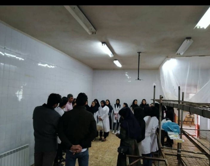 تلاش برای افزایش مهارت آموزی دانش آموزان در استان قزوین