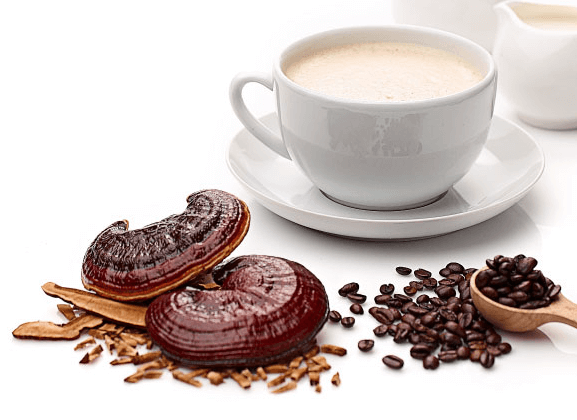 خواص و فواید قهوه گانودرما برای سلامتی