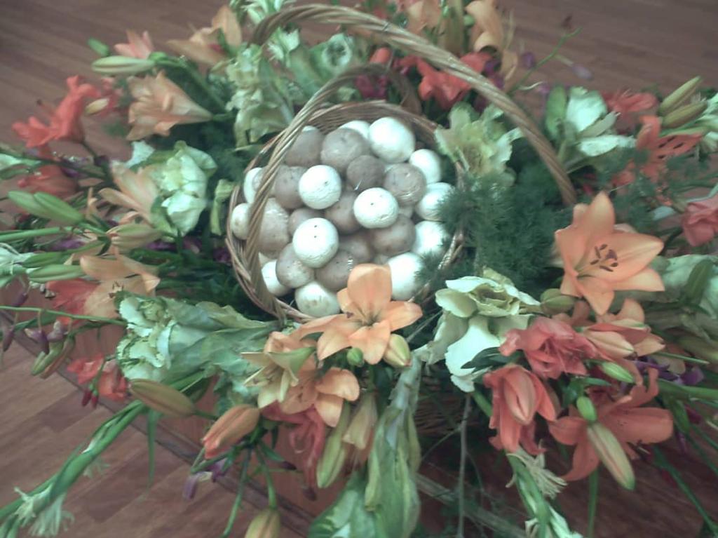 همایش علمی کاربردی قارچ