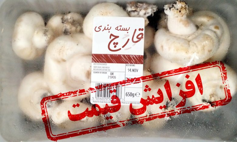 افزایش قیمت قارچ