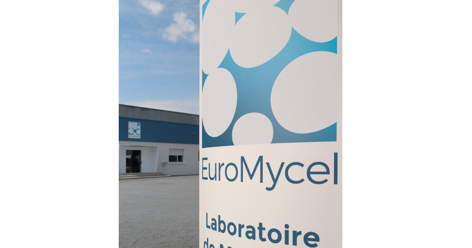 مزرعه پرورش قارچ Euromycel در فرانسه