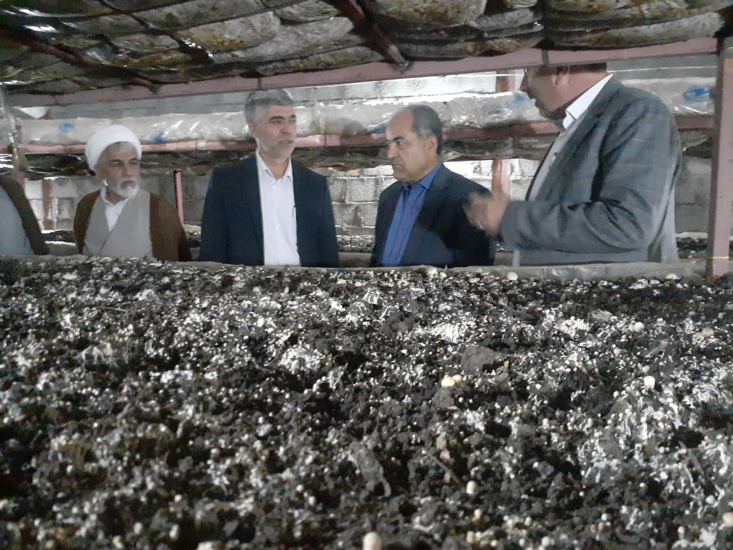 مشکلات سه واحد بخش کشاورزی و دام انگوت مغان