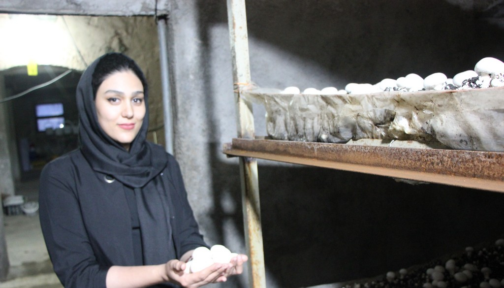 کارگاه پرورش قارچ بانوی شهر نایین