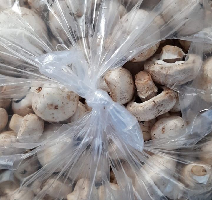 جلوگیری از فروش قارچ با بهای مناسب