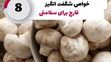 جوابیه انجمن صنفی پرورش دهندگان قارچ خوراکی در اعتراض به خبرگزاری تسنیم
