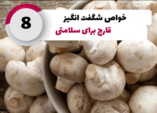 جوابیه انجمن صنفی پرورش دهندگان قارچ خوراکی در اعتراض به خبرگزاری تسنیم