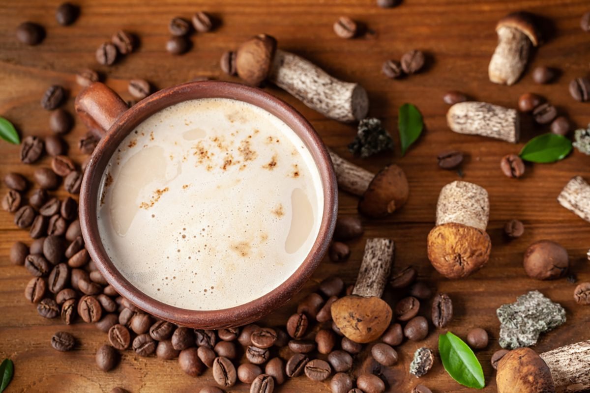 از انواع قهوه قارچ چه می‌دانید؟
