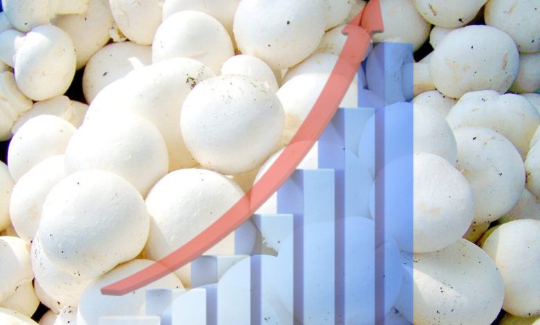 سرانه مصرف قارچ در ایران نسبت به کشور های دیگر