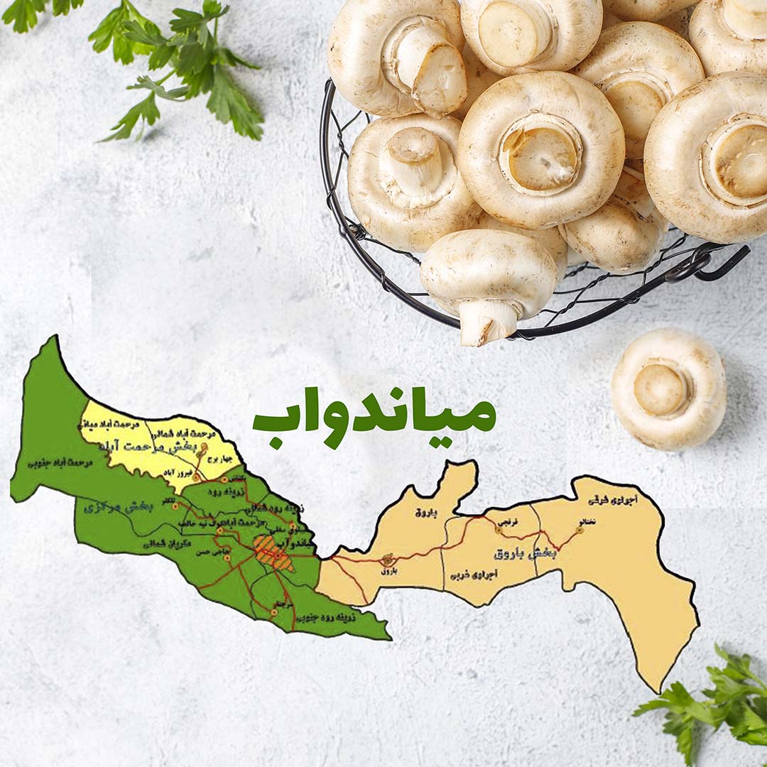 آماده بهره برداری شدن ۹ طرح عمرانی و تولیدی در بخش کشاورزی میاندوآب