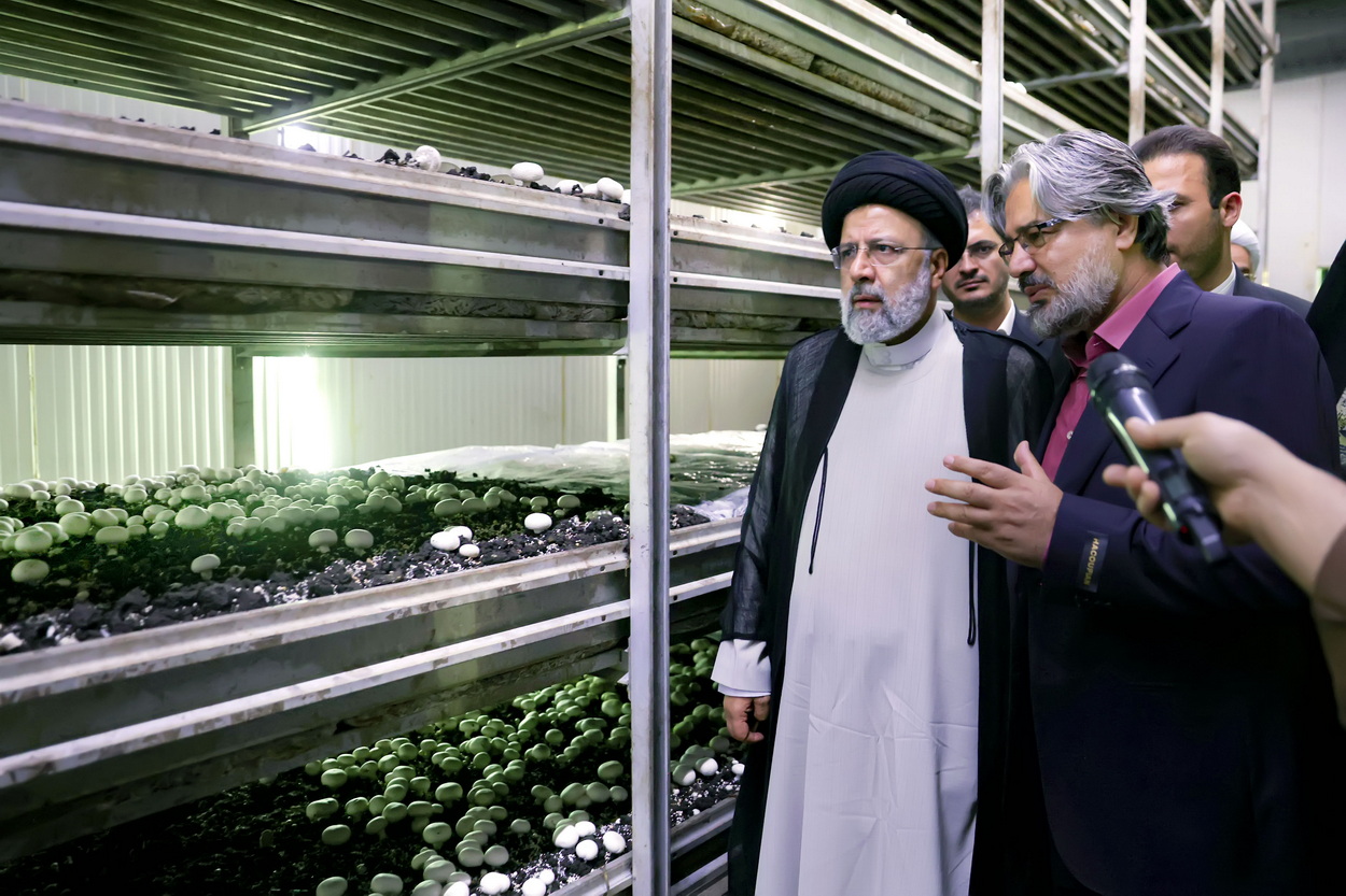 بازدید رئیس جمهور از مزرعه پرورش قارچ اورامان سبز واقع در روستای قلعه جی شهرستان سروآباد