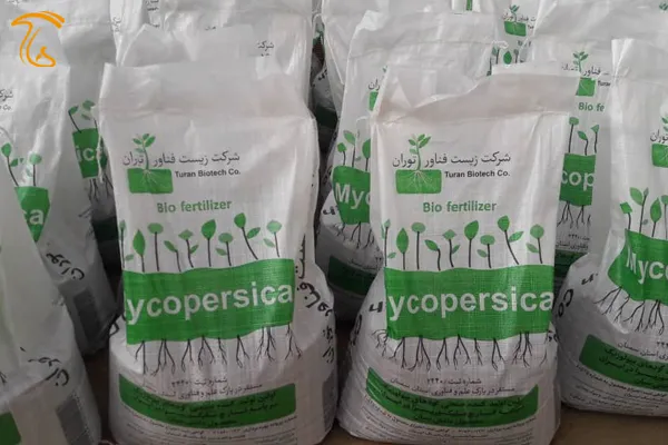 ترکش‌های «رکود» جان دانش‌بینان‌ها را برلب رساند | تولید قارچ مایکوریزا در شاهرود 