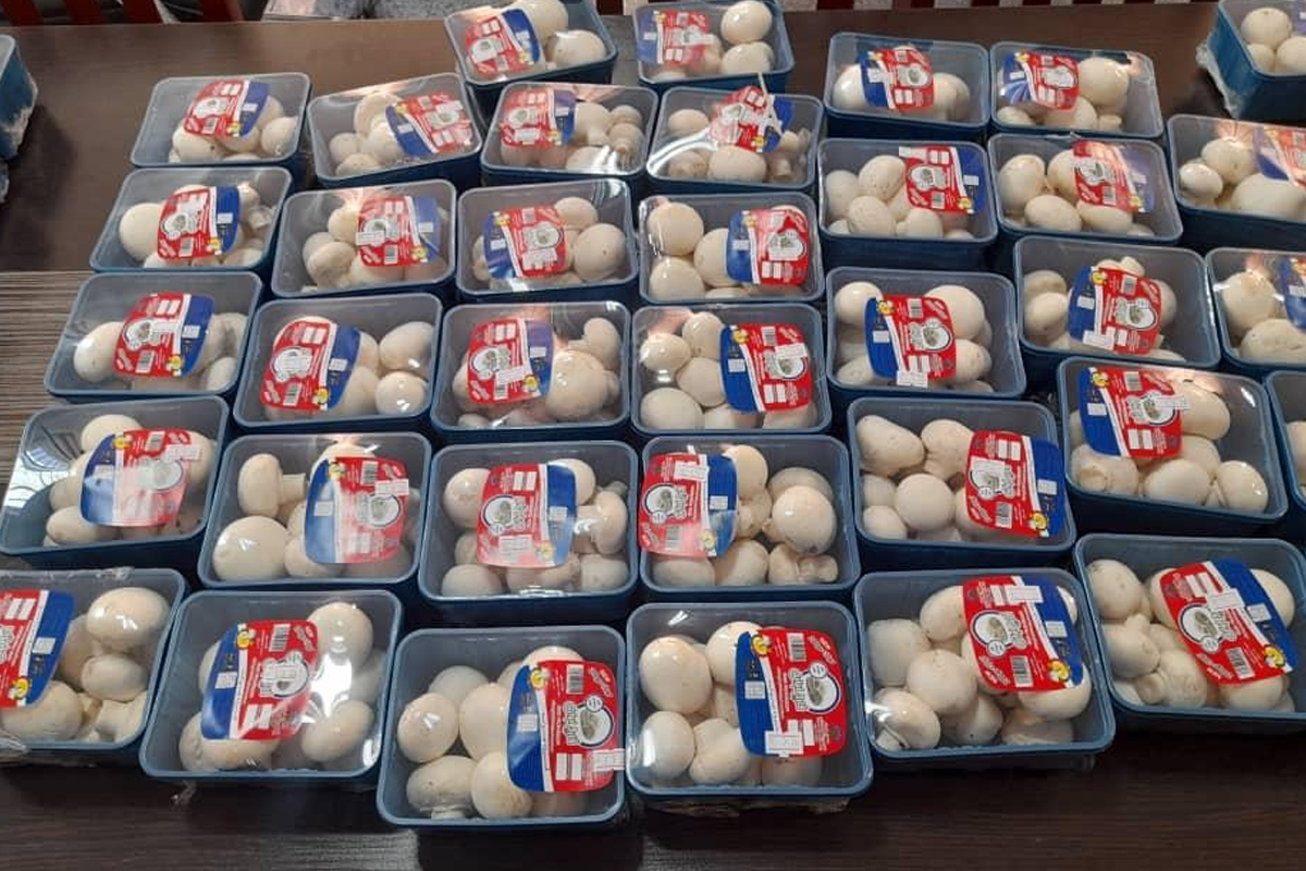 دوره آموزشی سرای محله مهران