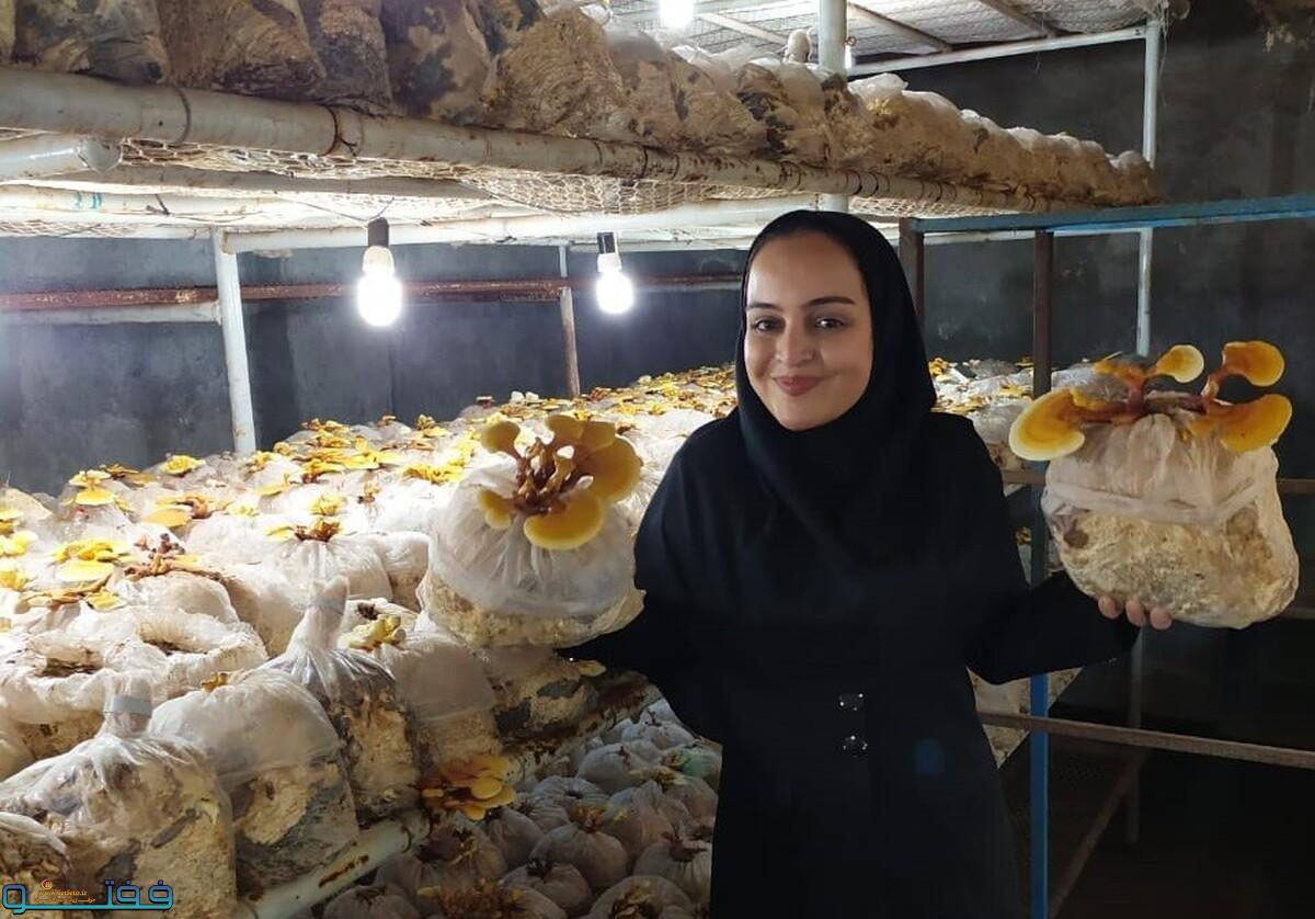 قارچ گانودرما زهرا برید بای آقائی