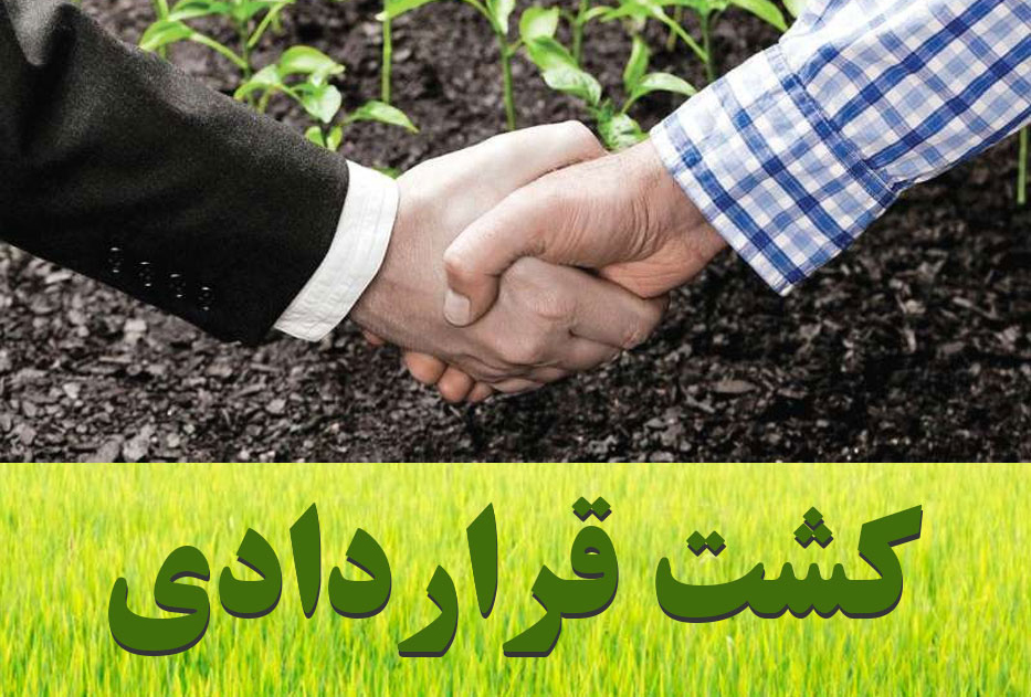 کشت قراردادی چیست؟
