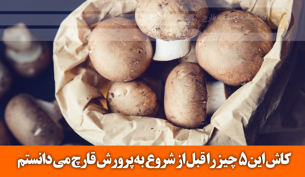5 کلید طلایی برای درآمد پایدار از پرورش قارچ