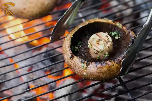 قارچ کبابی بخورید