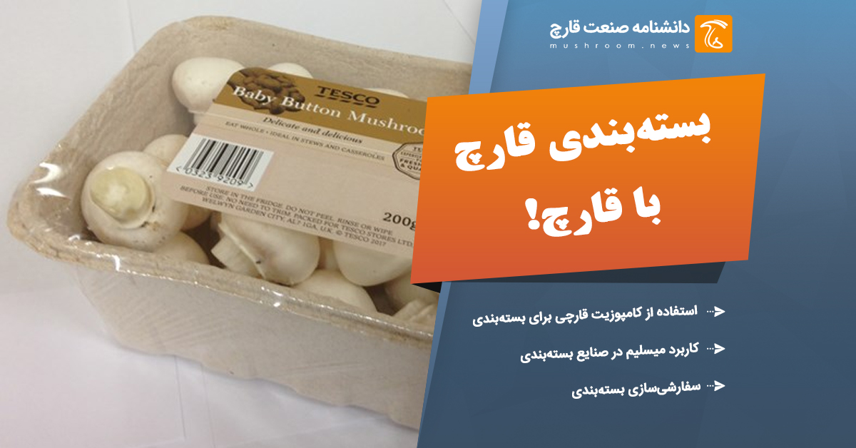 بسته بندی با قارچ کامپوزیت‌های قارچی میسلیوم یک کلاس نوظهور