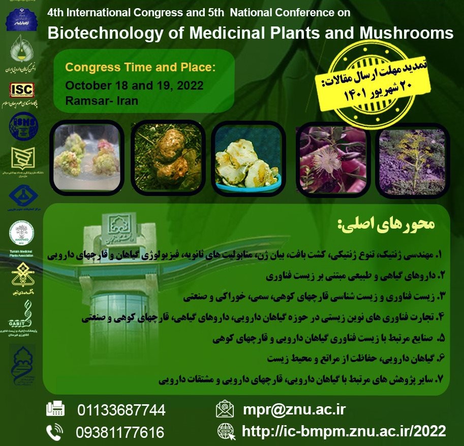 همایش قارچ کوهی