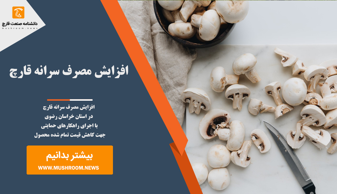 افزایش مصرف سرانه قارچ