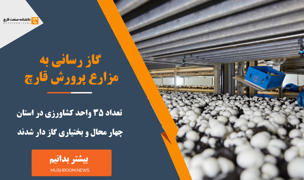 گاز رسانی به مزارع پرورش قارچ