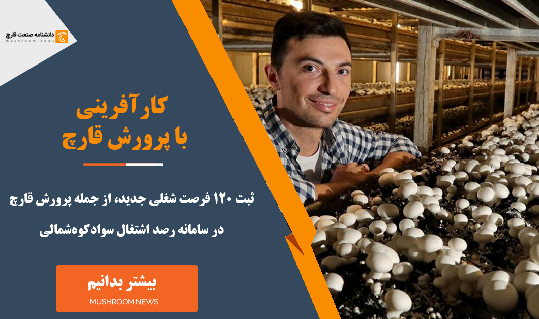 کارآفرینی با پرورش قارچ در سواد کوه