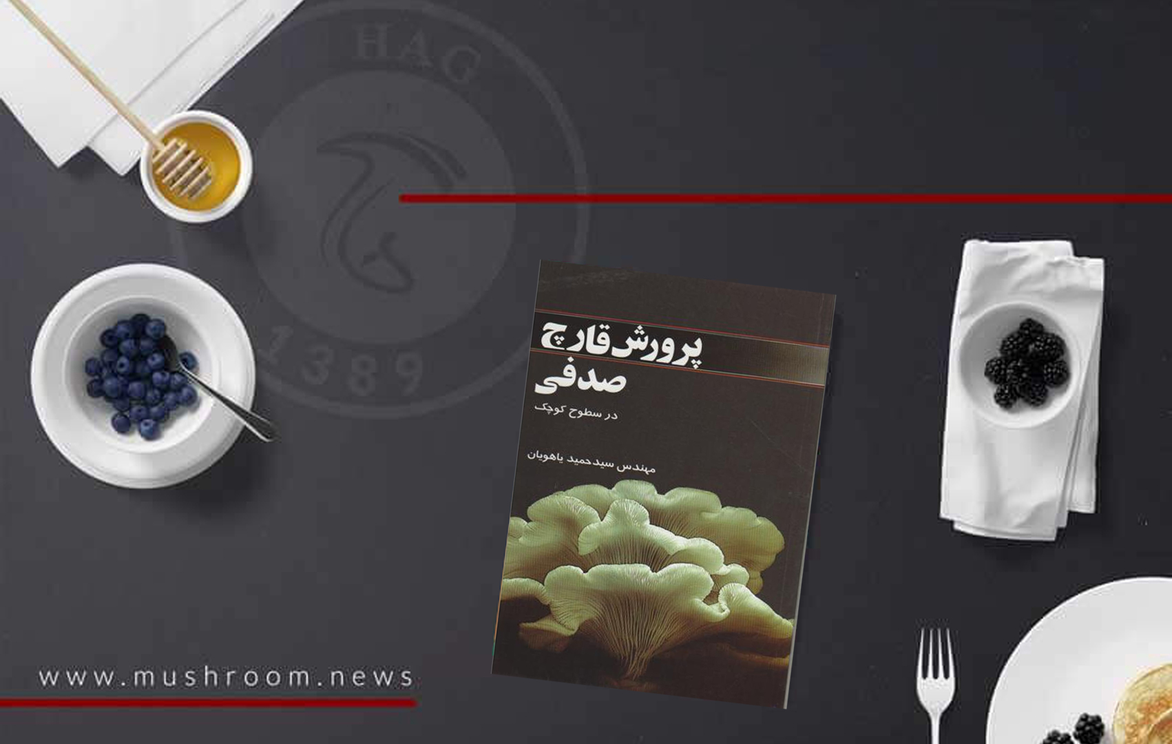 کتاب پرورش قارچ صدفی در سطوح کوچک تالیف مهندس سید حمید یاهویان