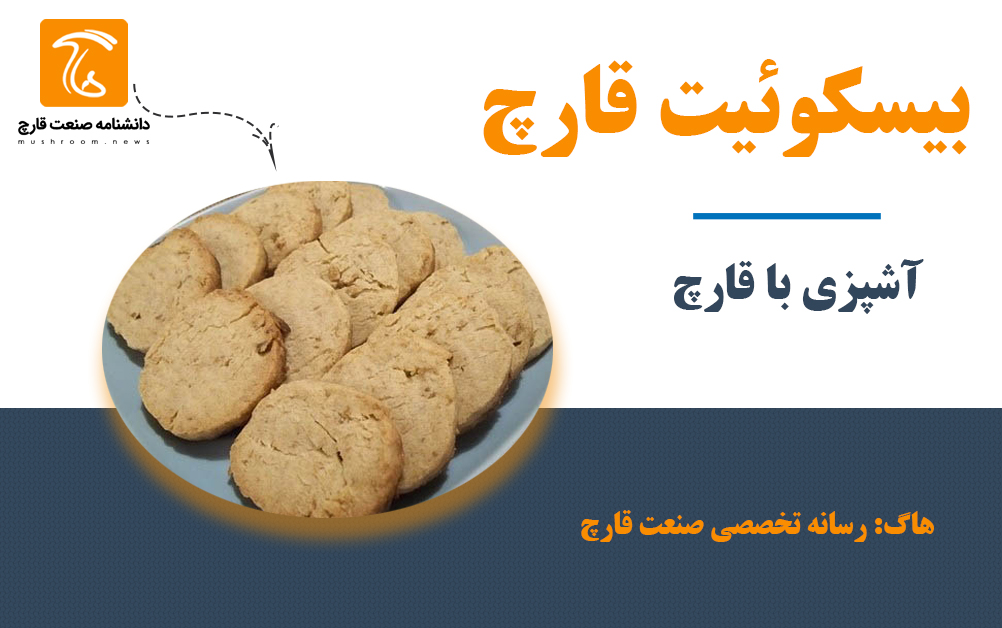 بیسکوئیت قارچ یک میان وعده عالی سرشار از ویتامین