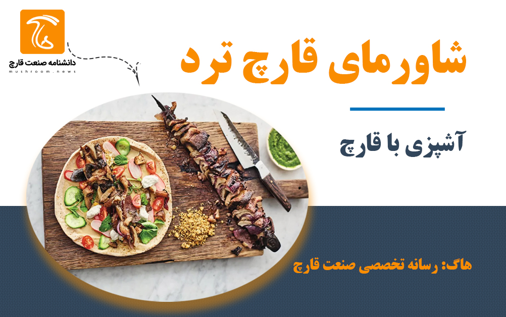 آموزش اشپزی با قارچ - طرز تهیه شاورما قارچ - غذای گیاهی
