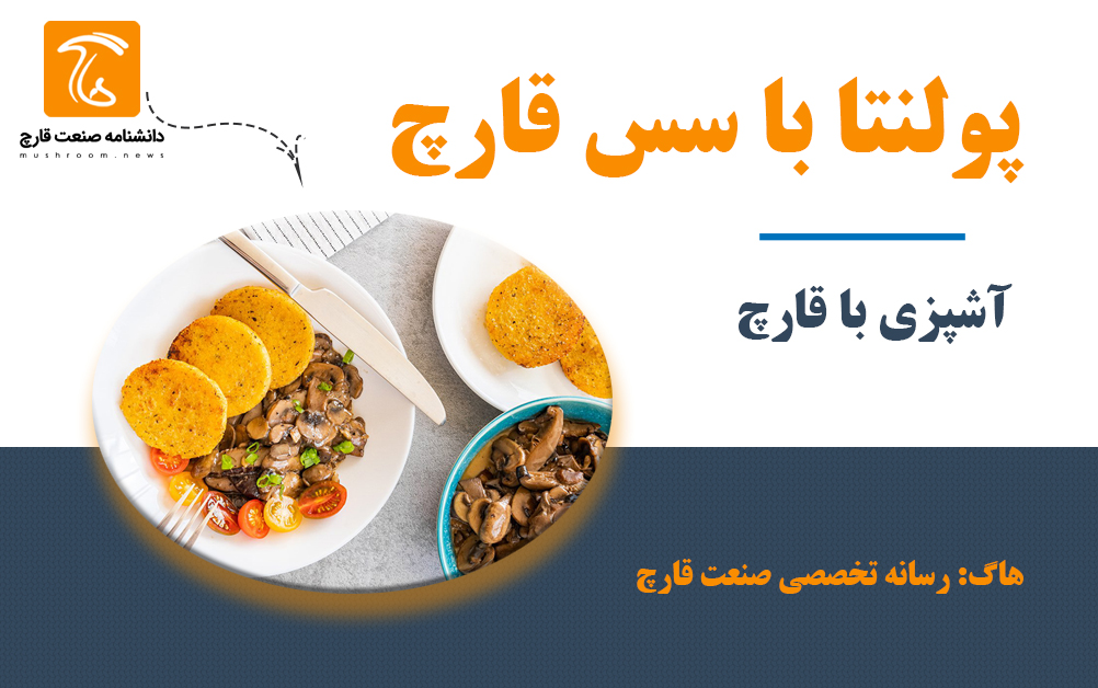 آموزش آشپزی با قارچ - غذی ایتالیایی پولتنا با سس قارچ - غذای گیاهی