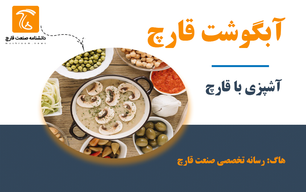 آبگوشت قارچ یک غذای گیاهی