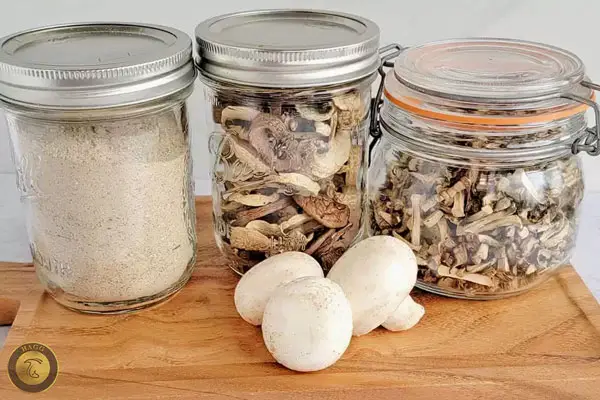قارچ‌خشک و پودر Dried mushroom