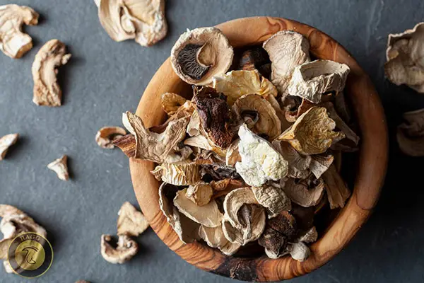 تولید قارچ خشک شده Dried mushroom