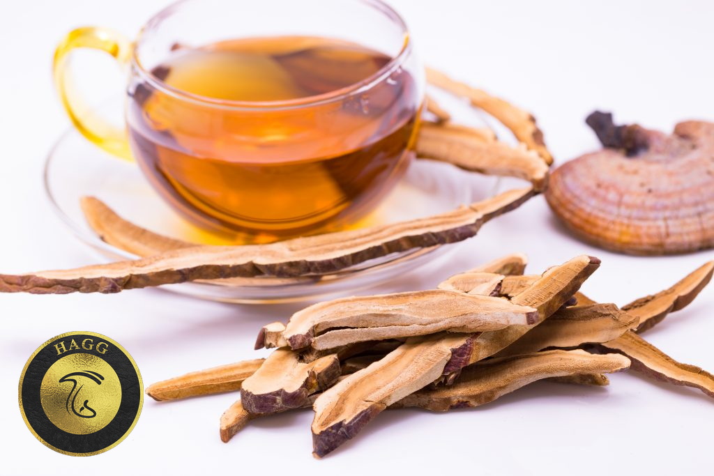 نکات مهم درباره چای گانودرما و چگونگی مصرف