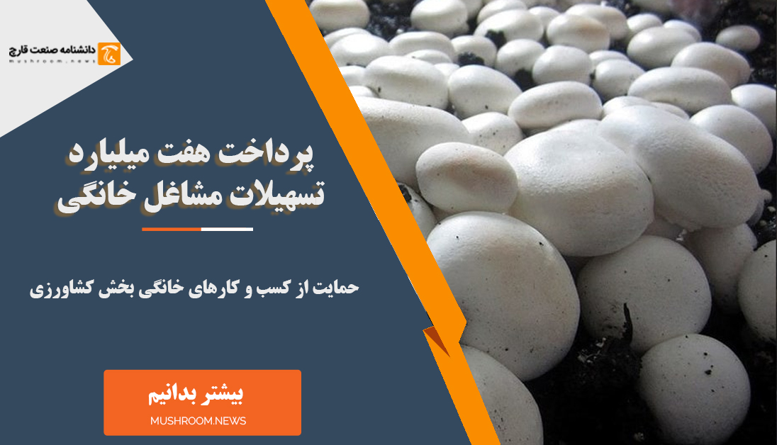 پرداخت تسهیلات پرورش قارچ در شهرستان گلوگاه