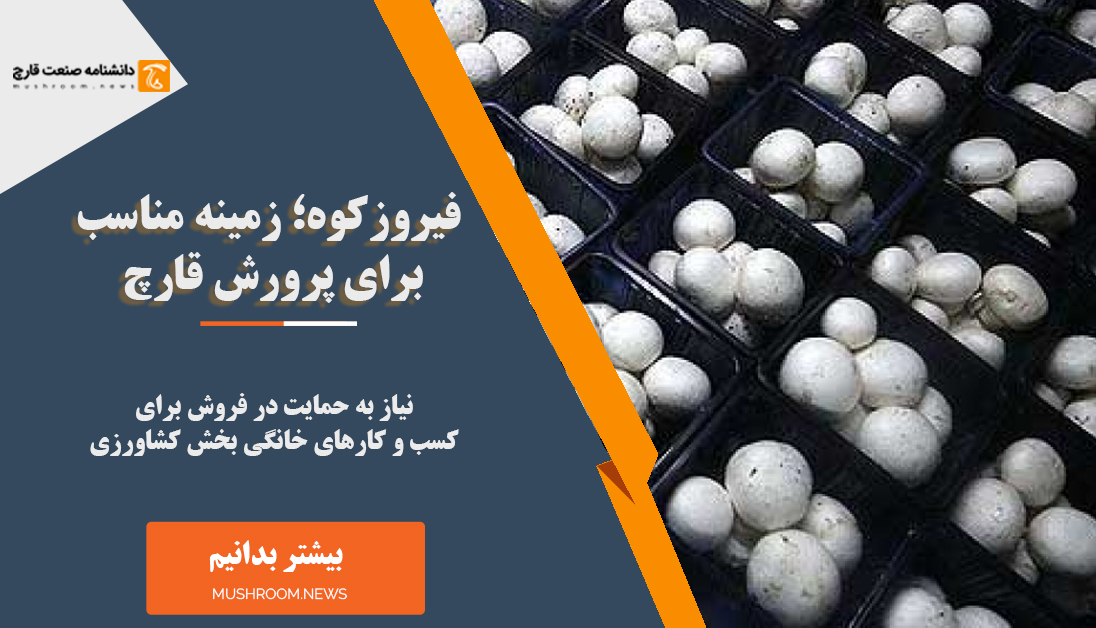 فیروزکوه زمینه مناسب برای پرورش قارچ