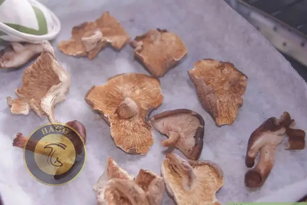آماده شدن Dried mushroom