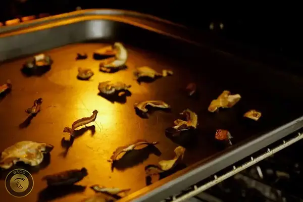 خشک کردن قارچ درون فر - تولید قارچ خشک شده در فر گاز