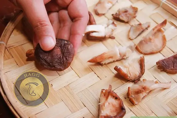 رطوبت قارچ را با استفاده از ظرف چوبی بگیرید