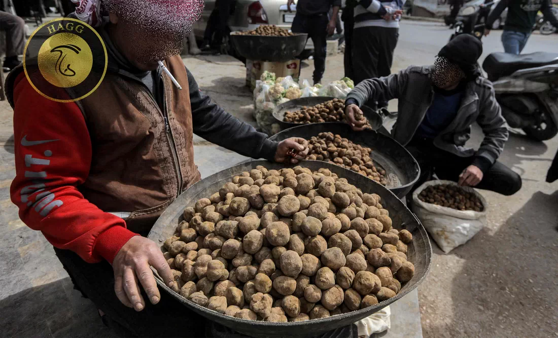 قاچاق ترافل در استان گلستان