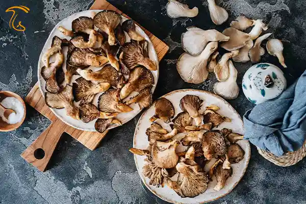 پخت و پز با قارچ صدفی آبالون