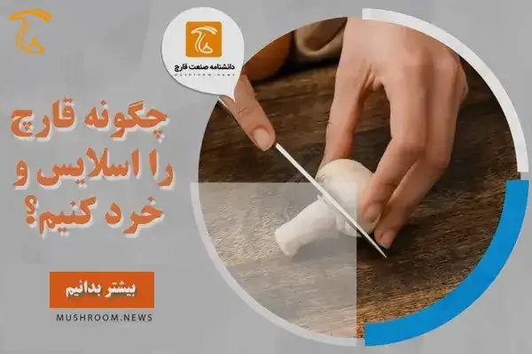 اسلایس قارچ چگونه قارچ را اسلایس و خرد کنیم؟ اسلایس شده یعنی چه
