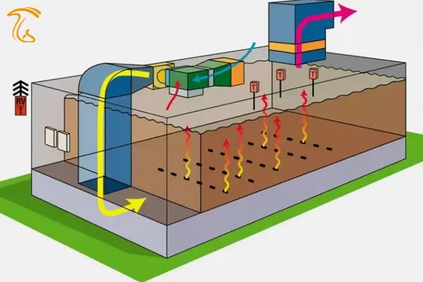 فاز 3 تولید - فاز سوم کمپوست قارچ دکمه ای یا کمپوست قارچ چیست؟