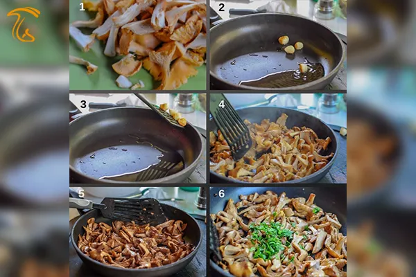 خوراک قارچ زردپیچاک