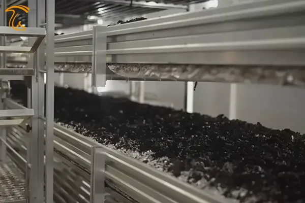 کمپوست قارچ دکمه ای یا بستر رویش قارچ چیست؟