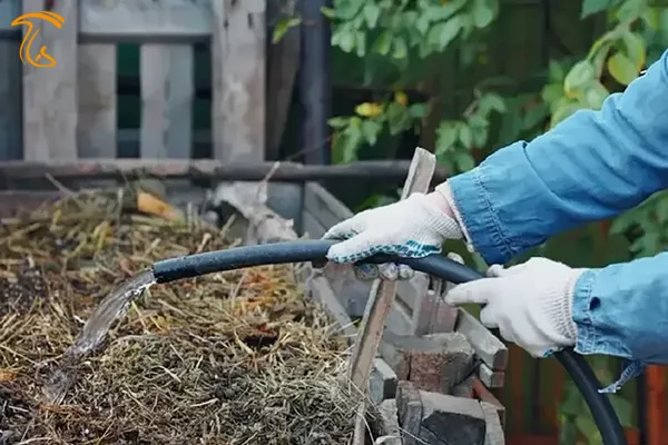 نقش آب در بستر رویش