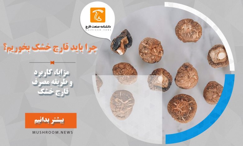 قارچ خشک
