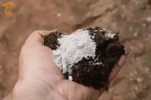 اهداف و دلایل استفاده از سنگ گچ در کمپوستسازی