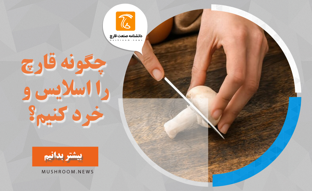 اسلایس قارچ چگونه قارچ را اسلایس و خرد کنیم؟ اسلایس شده یعنی چه