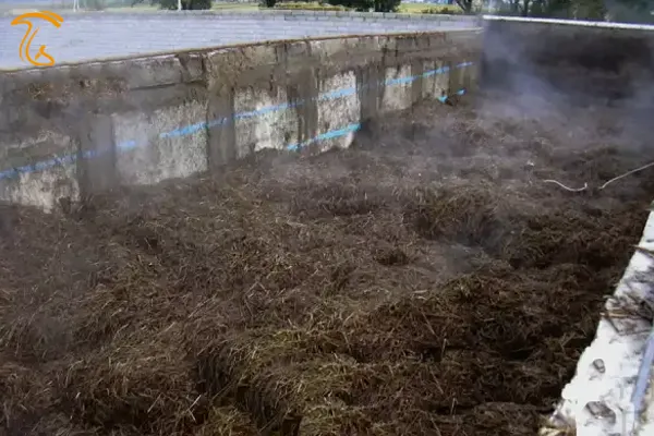 هوادهی از کف توده کمپوست قارچ چیست و بالا رفتن دمای توده کمپوست قارچ دکمه ای