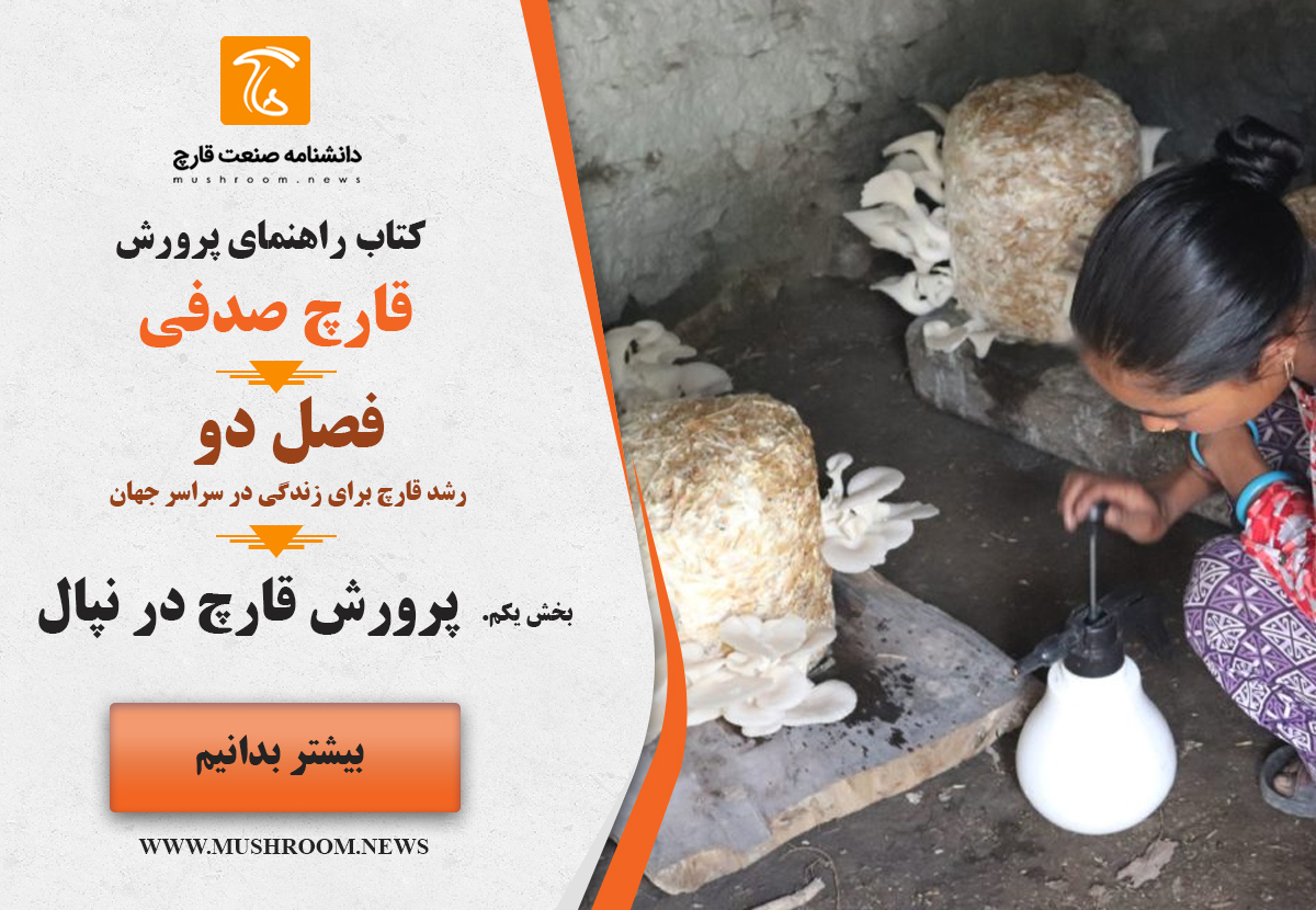 پرورش قارچ در نپال